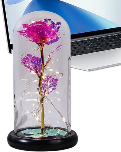 Eeuwige Roos - Kunstbloem Decoratie - Romantisch Cadeau - Verandert van Kleur - Terrarium Container - Regenboog