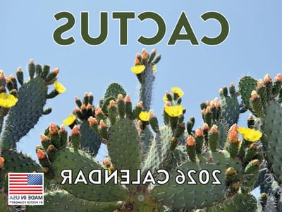 Cactus Kalender 2026 - Maandplanner Wandkalender - Leven Organiseren - Lokaal Gedrukt FSC Papier - 12 Maanden - Multicolor