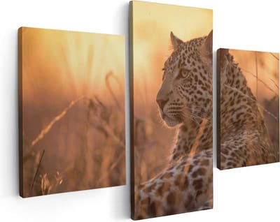 Artaza Canvas Schilderij Drieluik Luipaard Rust In De Zon - 90x60 - Foto Op Canvas - Canvas Print