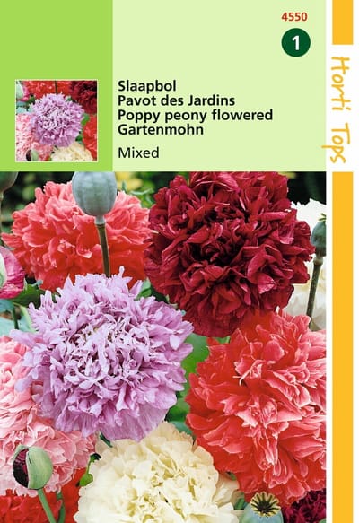2 stuks - Hortitops - Papaver Somniferum Paeoniflorum Gemengd