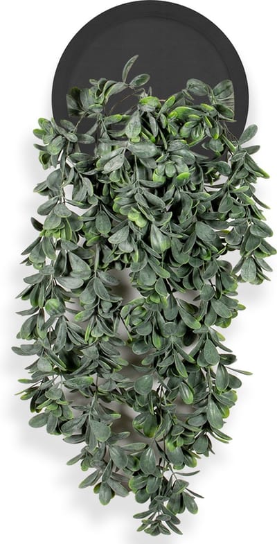 Kunstplant Crassula in Wally Ø30 cm zwart - HTT Decorations kunstplanten