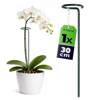 KADAX Plantensteun met oog 30 cm, stalen plantenstok, ring 6 cm, bloemensteun, groen, tuin, 1 st.