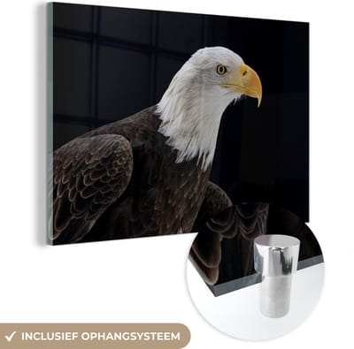MuchoWow® Glasschilderij 60x40 cm - Schilderij acrylglas - Adelaar - Vogel - Snavel - Zwart - Foto op glas - Schilderijen