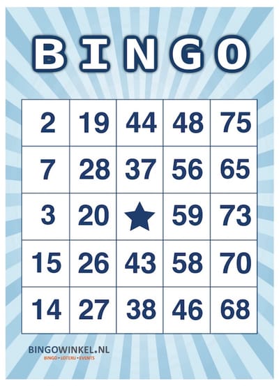 Bingokaarten 1-75 Karton | Blauw | 50 stuks
