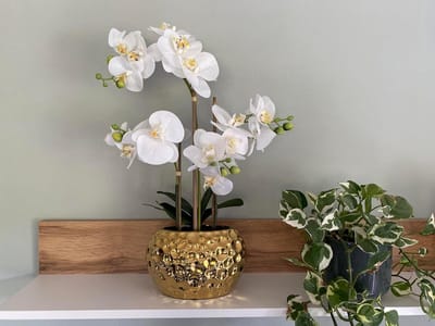 XL Kunstorchidee Phalaenopsis Wit met Luxe Gouden Keramische Pot - 53 cm Hoog