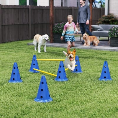 MEUNIQ honden agility set met 3 horden, 6 kegels en draagtas, verstelbare hoogte 6/13,5/20,5 cm, kunststof trainingsset voor hondensport, blauw