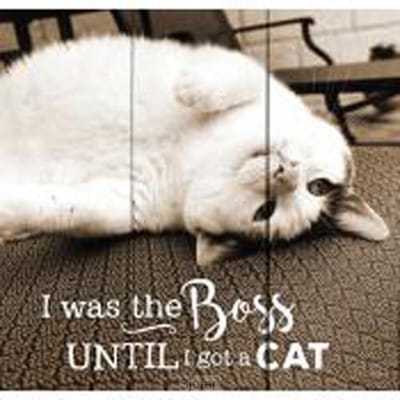 Pallet wall decor - 26,5 x 25,5 cm - I was the boss until I got a cat - Christelijk, Bijbel