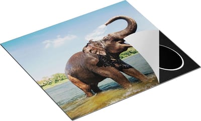 Chefcare Inductie Beschermer Vrolijke Olifant in het Water - 60x50 cm - Afdekplaat Inductie - Kookplaat Beschermer - Inductie Mat