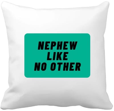 Akyol - nephew like no other Kussen hoes - Neef - geweldige neef - niemand anders - verjaardag - cadeau - kado - bedankje - geschenk - 40 bij 40 cm