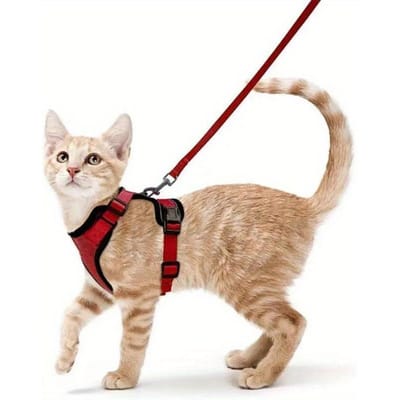 Harnais et Laisse pour Chat pour la Promenade, Harnais Gilet Doux Réglable Anti-Évasion pour Chats, Veste Respirante avec Bandes Réfléchissantes S rouge