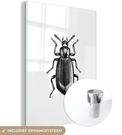 MuchoWow® Glasschilderij 30x40 cm - Schilderij acrylglas - Kever - Dieren - Vintage - Foto op glas - Schilderijen