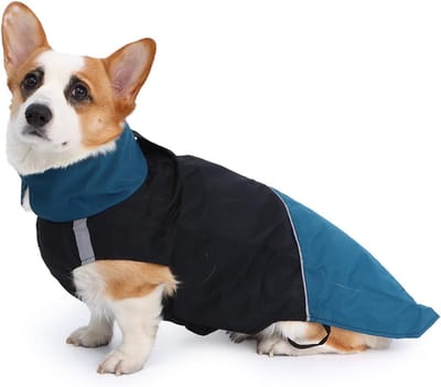 Waterdichte Hondenregenjassen - Winddichte Winterjassen voor Honden - Reflecterende Hondenjassen voor Koud Weer met Leash Opening, Zwart, M