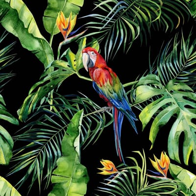 Fotobehang Parrot2 DD116615 A.S. Création Greenery Groen Rood Vlies 260 x 260 cm (2 Teile) Fotobehang