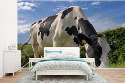 Behang - Fotobehang Koe - Bos - Gras - Dieren - Breedte 375 cm x hoogte 280 cm