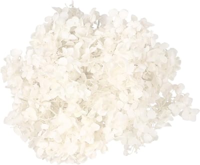 Decoratieve Droogbloemen - Gedroogde Bloemen - Bruiloft Decoratie - Natuurlijke Bloemblaadjes - 16x15.5cm - Wit