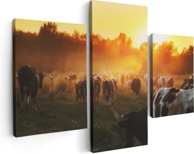 Artaza Canvas Schilderij Drieluik Kudde Koeien In Weiland Bij Zonsondergang - 90x60 - Foto Op Canvas - Canvas Print