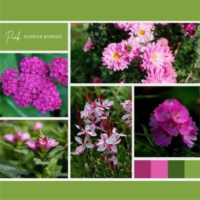 Borderpakket Roze (9 planten: 1,5m²) - Vaste planten - Bijen-Vlinders - Snijbloemen - Geurend - Zomerbollen - Voorjaarsbollen