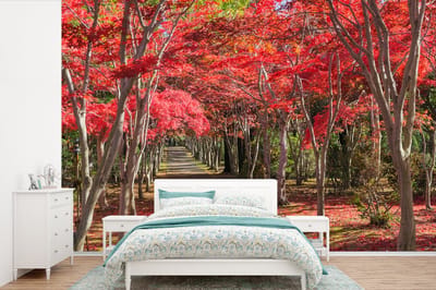 Behang - Fotobehang Rode bomen in Japan - Breedte 450 cm x hoogte 300 cm