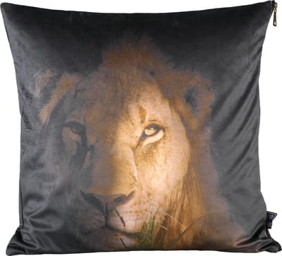 PTMD Raf Vierkant Kussen Leeuw - 45 x 10 x 45 cm - Velvet - Bruin