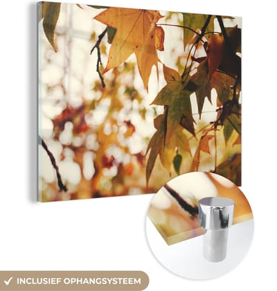 MuchoWow® Glasschilderij 40x30 cm - Schilderij acrylglas - Natuur - Herfstbladeren - Landelijk - Foto op glas - Schilderijen