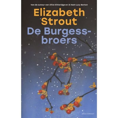 De Burgess-Broers - Lucy Barton - Elizabeth Strout