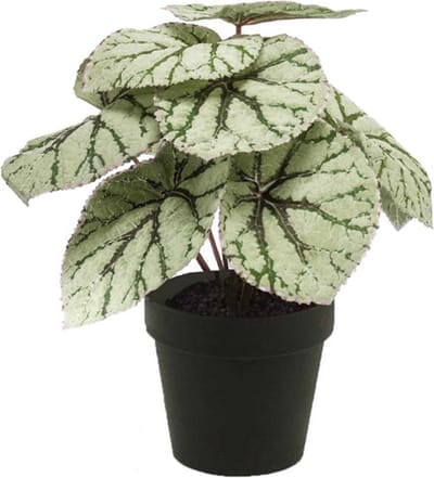 Emerald - Kunstplant in pot Begonia grijs 25cm - Kunstplant voor binnen