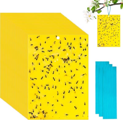 Vliegenvangers - 40 stuks - Inclusief kabelbinders - Fruitvliegjes Vanger - Rouwvliegjes bestrijden - vangplaten - vliegenvanger plakstrip - Fruitvlieg - 20×15CM