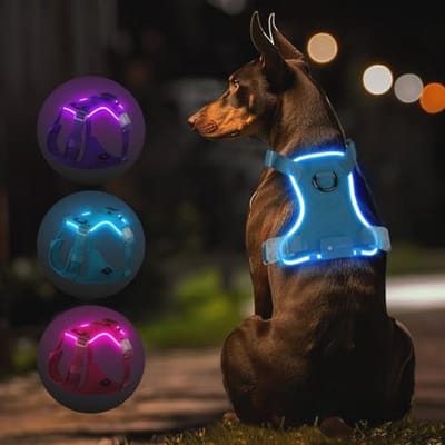Oplaadbaar LED-hondenharnas voor puppy tot XL hond, waterdicht en verstelbaar, met 3 verlichtingsmodi