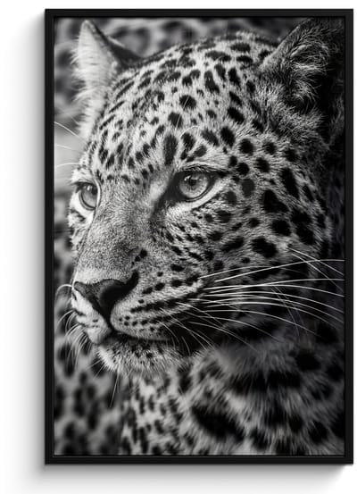 Poster in lijst - Fotolijst 80x120 cm - Posters - Luipaard - Zwart - Wit - Oog - Posterlijst zwart - Decoratie - Wanddecoratie woonkamer - Muurdecoratie slaapkamer