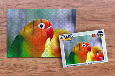 Puzzel Dwergpapegaai van dichtbij weergegeven - Legpuzzel - Puzzel 1000 stukjes volwassenen