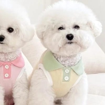 Polo Fashion pour Animaux Printemps Été Respirant Décontracté Vêtements pour Chiens Doux Hypoallergénique Sweat pour Chiots de Petites et Moyennes Tailles (Green,XS) vert
