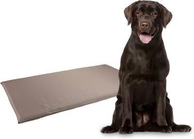 Benchkussen Taupe - Bruin - 116 x 69 x 3 cm
