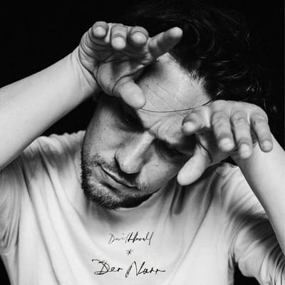 David Howald - Der Narr