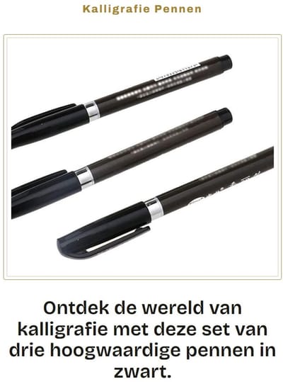 Dailygoods- Kalligrafie Pennen 3 Stuks - Zachte Tip - Handlettering - Chinese Kalligrafie - Niet-giftige Inkt - Hoogwaardige Kwaliteit - Schrijfpennen