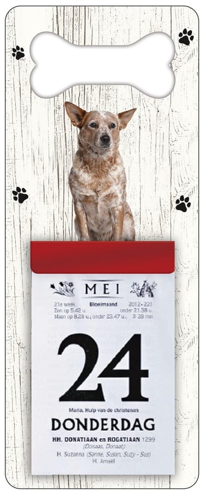 Scheurkalender 2027 Hond: Australian Cattle Dog