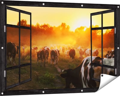Gards Tuinposter Doorkijk Kudde Koeien in Weiland bij Zonsondergang - 120x80 cm - Tuindoek - Tuindecoratie - Wanddecoratie buiten - Tuinschilderij