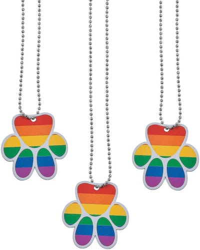 Hondenpenning Set - Poot Kettingen - Feestelijke Uitdeelcadeaus - Regenboog Kleur - 12 Stuks - Multicolor