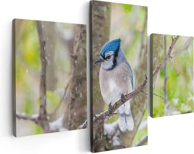 Artaza Canvas Schilderij Drieluik Blauwe Gaai Vogel In De Sneeuw - 90x60 - Foto Op Canvas - Canvas Print