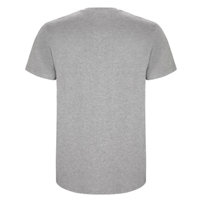 Roly Heren Stafford T-Shirt (Heide Grijs)