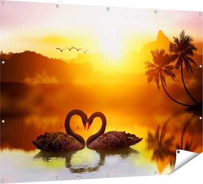 Gards Tuinposter Twee Zwarte Zwanen in een Hart Vorm - 160x120 cm - Tuindoek - Tuindecoratie - Wanddecoratie buiten - Tuinschilderij