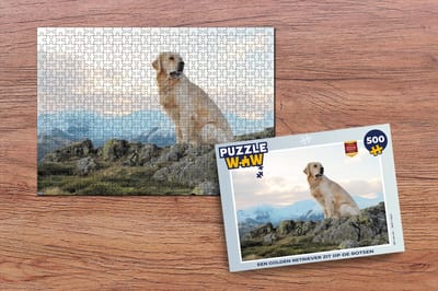 Puzzel Een golden retriever zit op de rotsen - Legpuzzel - Puzzel 500 stukjes