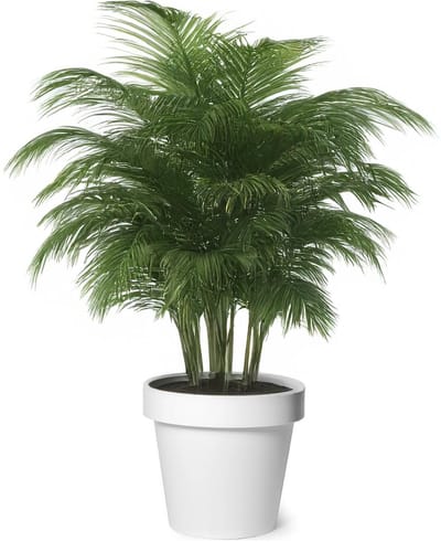 Mega Collections Plantenpot - kunststof - wit - buiten - D40 x H35 cm - bloempot