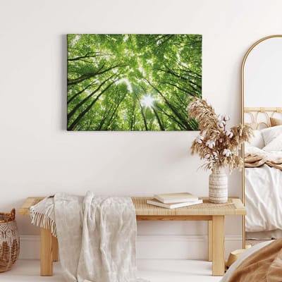Canvas print DD123013 TreetopsForest A.S. Création 0,7 x 0,5 m Groen Kantoor Hal/Gang Keuken Slaapkamer Woonkamer