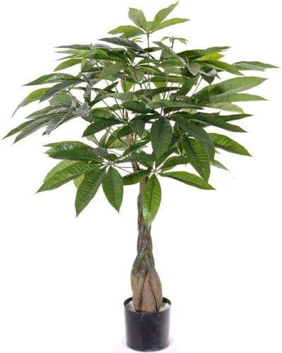 Kunstplant watercacao - groen - pachira boom - 90 cm - kantoor/huis