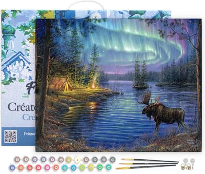 Figured'Art Schilderen op Nummer Volwassenen met lijst - Elan en Aurore Boreaal - Handwerk acrylverf Kit DIY Compleet - 40x50cm Canvas al ingelijst
