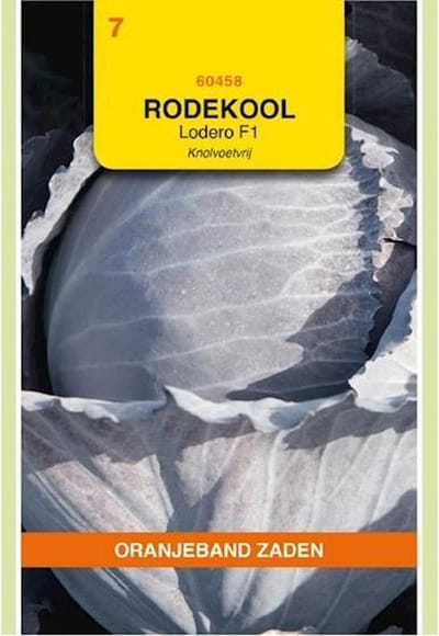 Oranjebandzaden -  Rode Kool Lodero F1, Knolvoetvrij