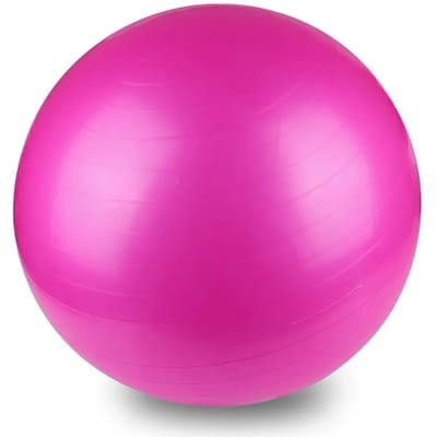 Swiss Ball 55 Cm