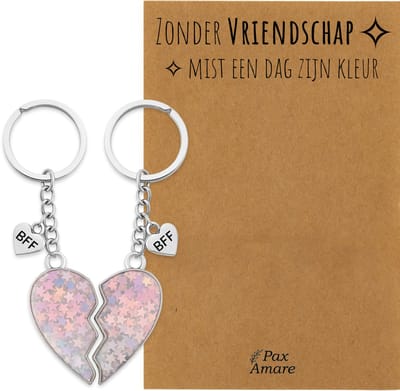 BFF Sleutelhanger voor 2 'Zonder Vriendschap mist een dag zijn kleur' - Magnetisch Hartje - Sleutelhanger set op Cadeau Kaartje - Zilverkleurig - Vriendschap Symbool - Pax Amare