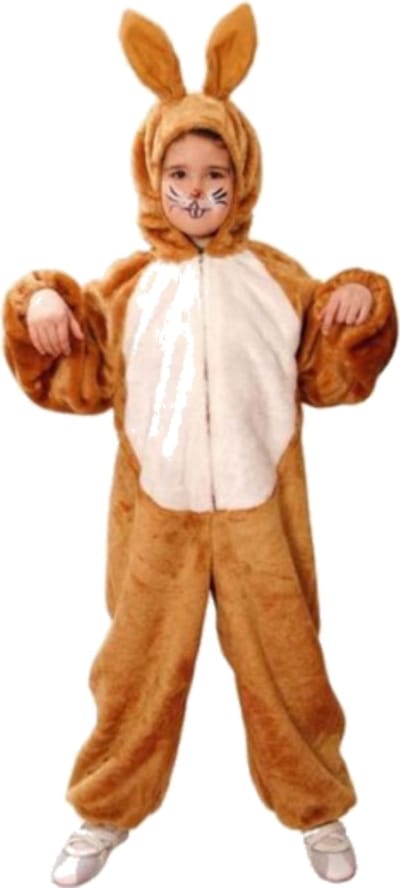 Paashaas/konijn kostuum - voor kinderen - bruin - pasen/carnaval verkleed onesie 164