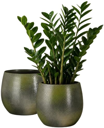 Mica Decorations Plantenpot - 2x - keramiek - donkergroen glans / ribbels - D17 x H18 cm - bloempot Havana